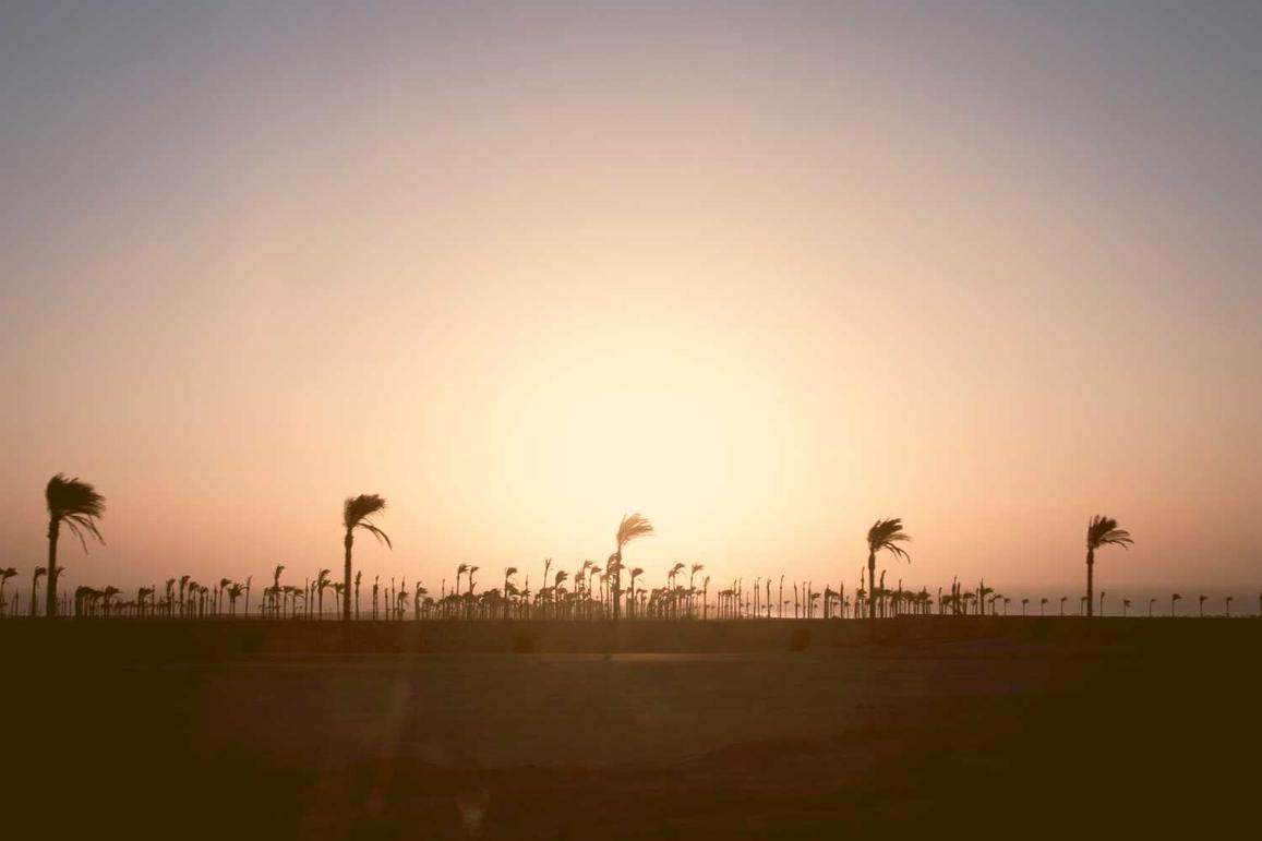 Excepturi odit voluptas officiis